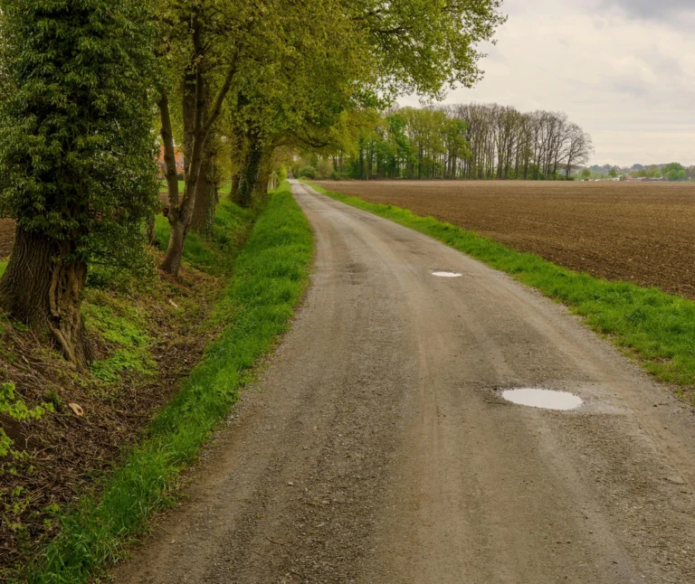 A country road with a couple of large water-filled potholes.